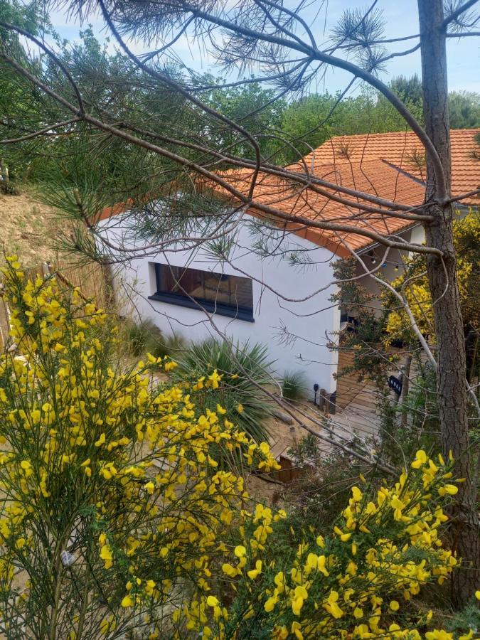 Cot'& Dune - Lodge D'Hote & Spa De Nage Saint-Augustin  Zewnętrze zdjęcie
